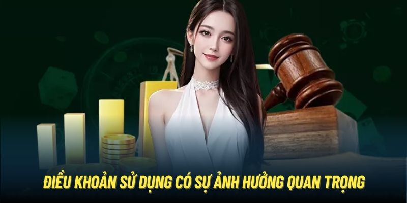 Điều khoản sử dụng có sự ảnh hưởng quan trọng